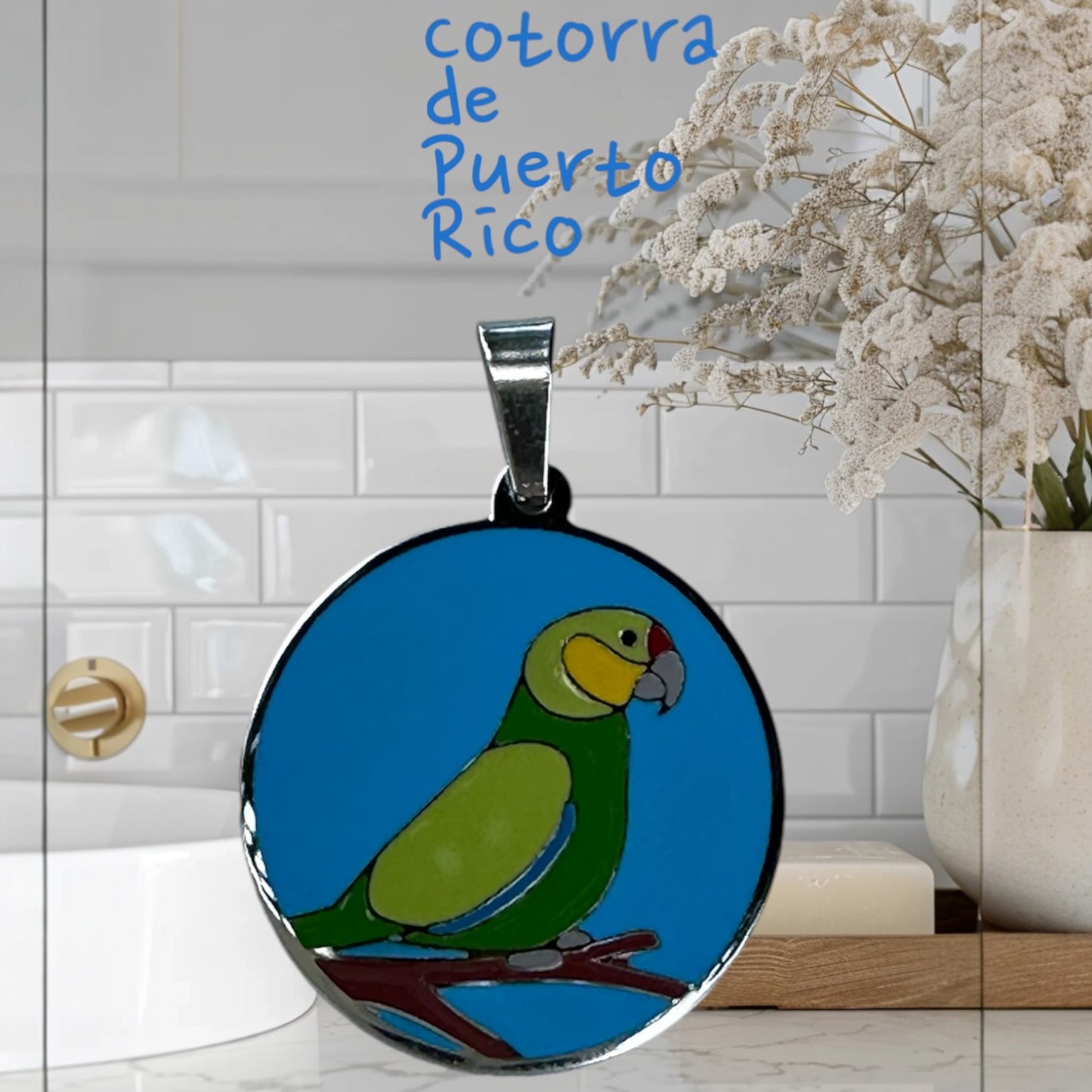 Collar Cotorra de PR con los Colores de la Bandera.