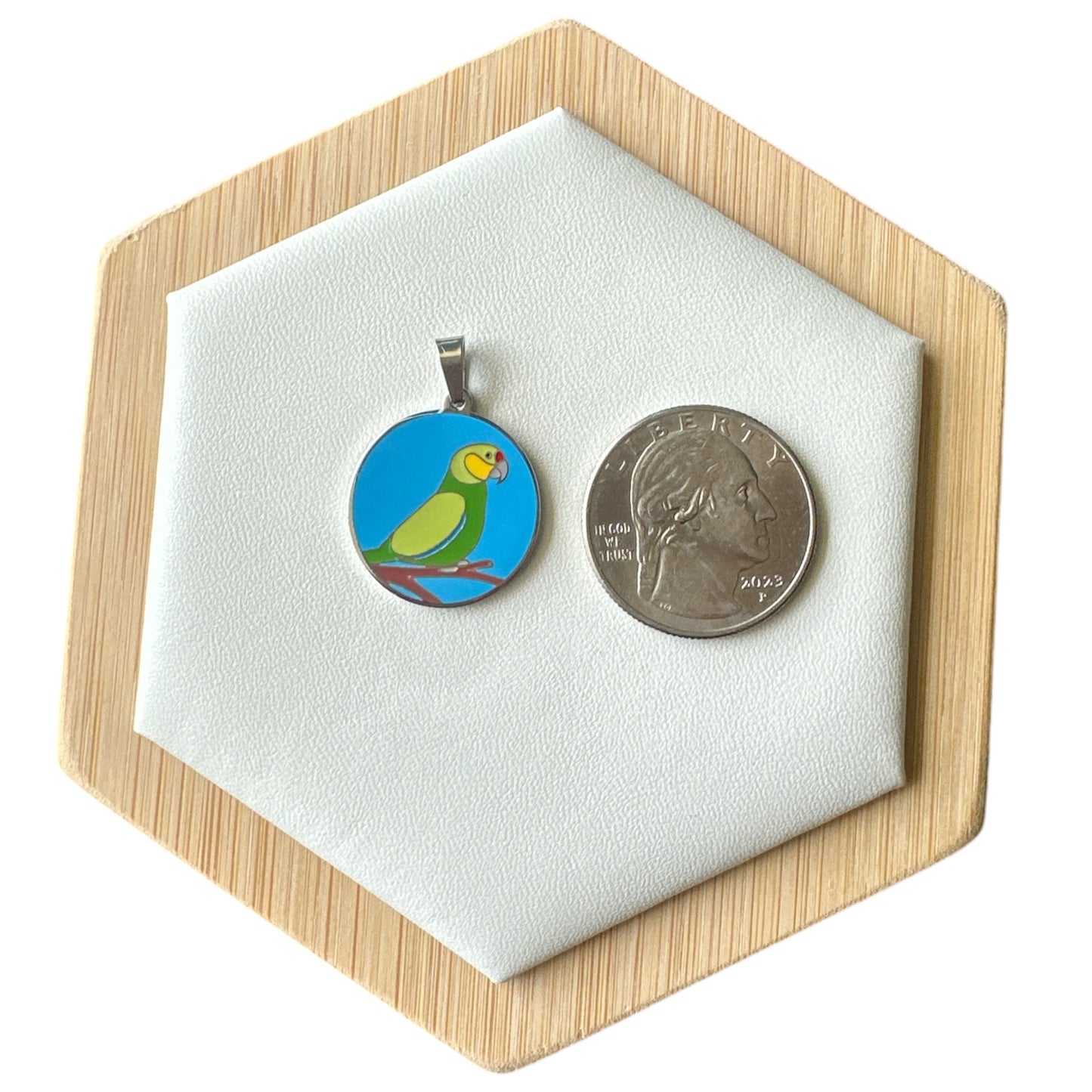 Collar Cotorra  de PR con los Colores de la Bandera.