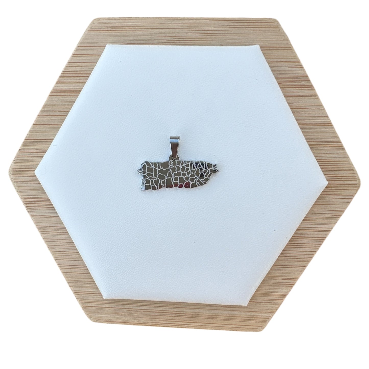 Collar Mapa de PR dividido por Pueblos Plateado