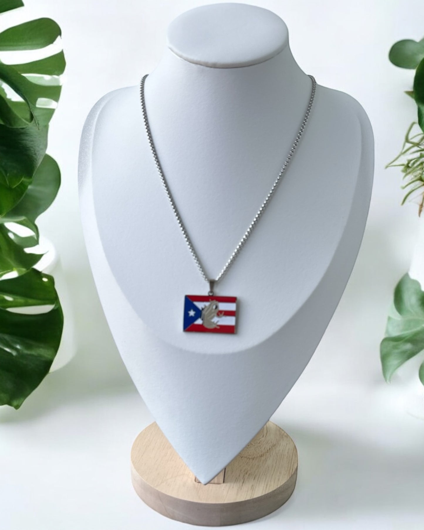 Collar Bandera Coqui Taino Plateado