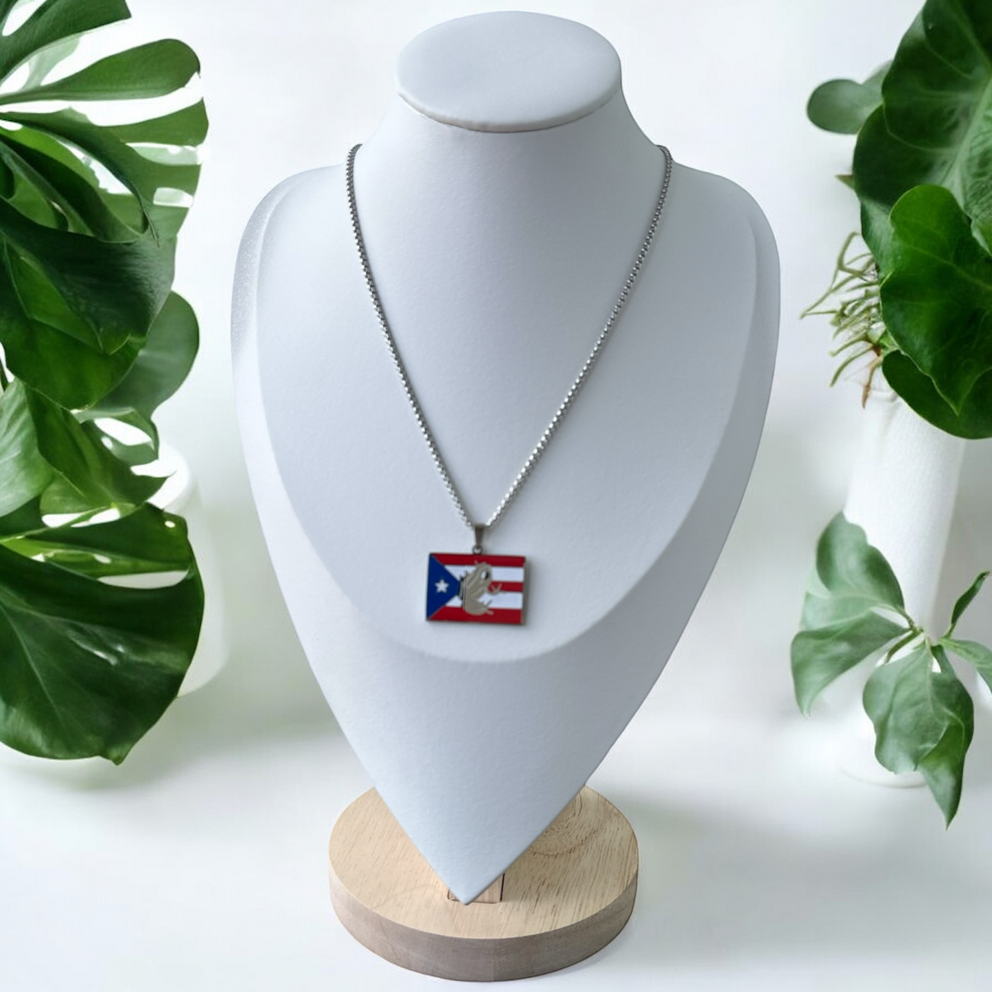 Collar Bandera Coqui Taino Plateado