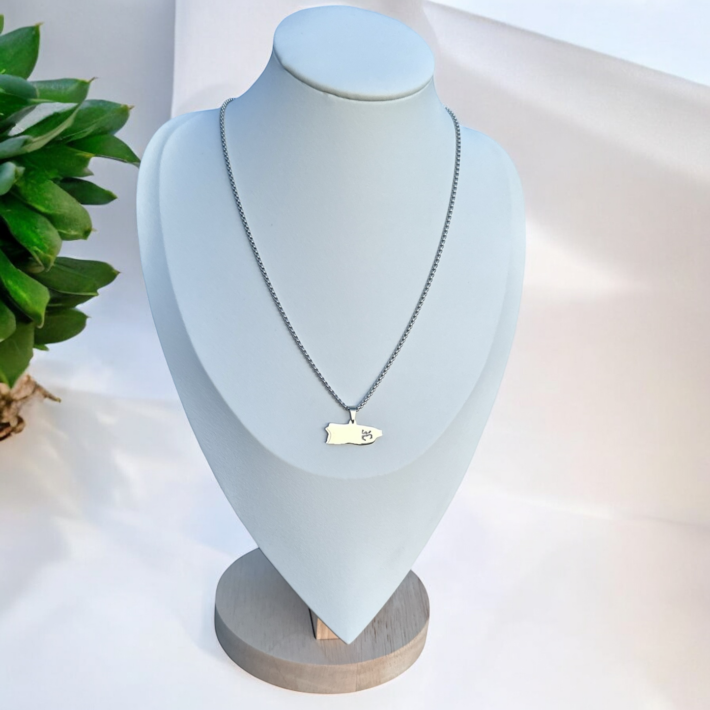 Collar Mapa de PR Coqui Taino Plateada